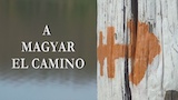 A magyar El Camino – Zarándokest 2016.05.10.