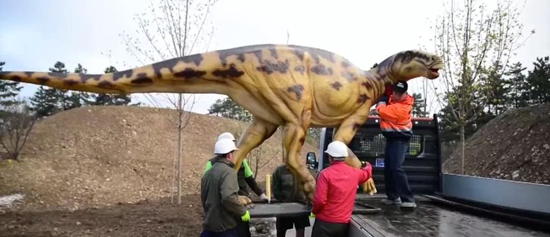 Dinók érkeztek a Veszprémi Állatkertbe