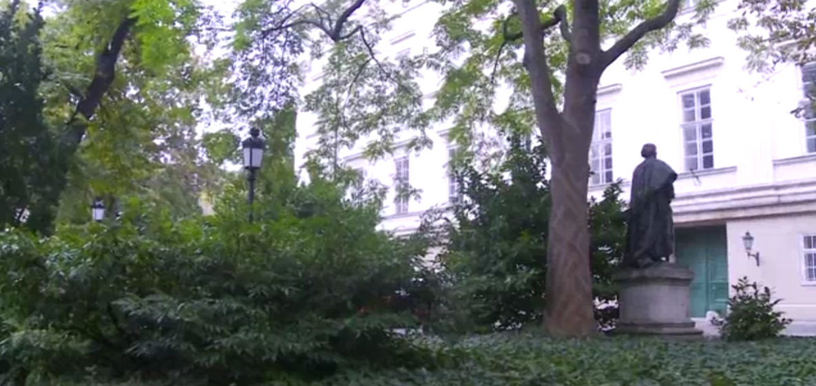 Megújul a Múzeumkert 2016.11.25.