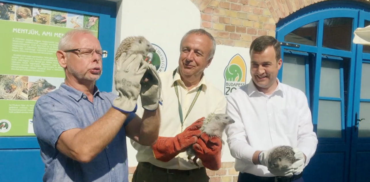 Sünispotály 2018.08.24.