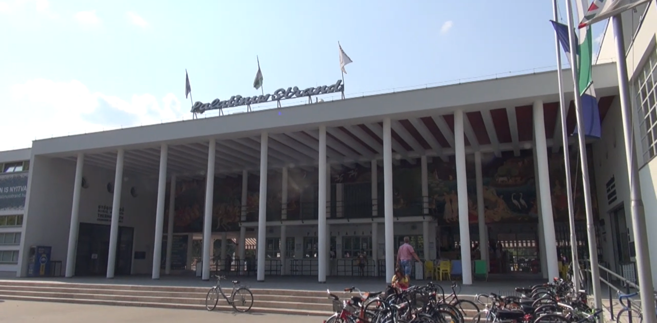 Palatinus – UNICEF