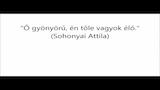 Sohonyai Attila – Édesanya (Előadja: Gáti Oszkár) 2020.05.03.