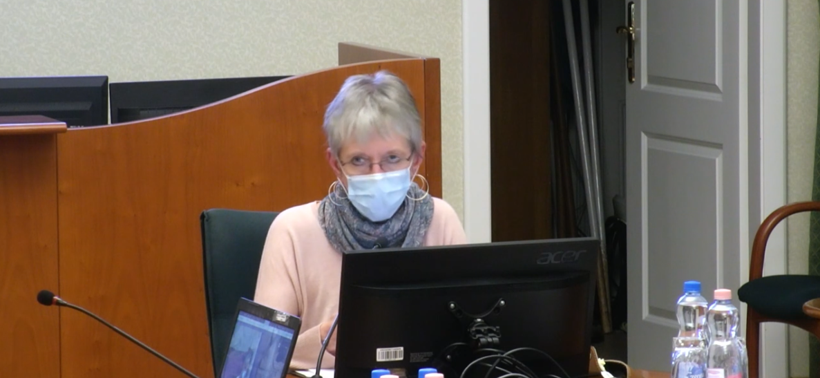 Erzsébetváros Online Lakossági Fórum – Klímavédelmi akcióterv 2020.11.10.