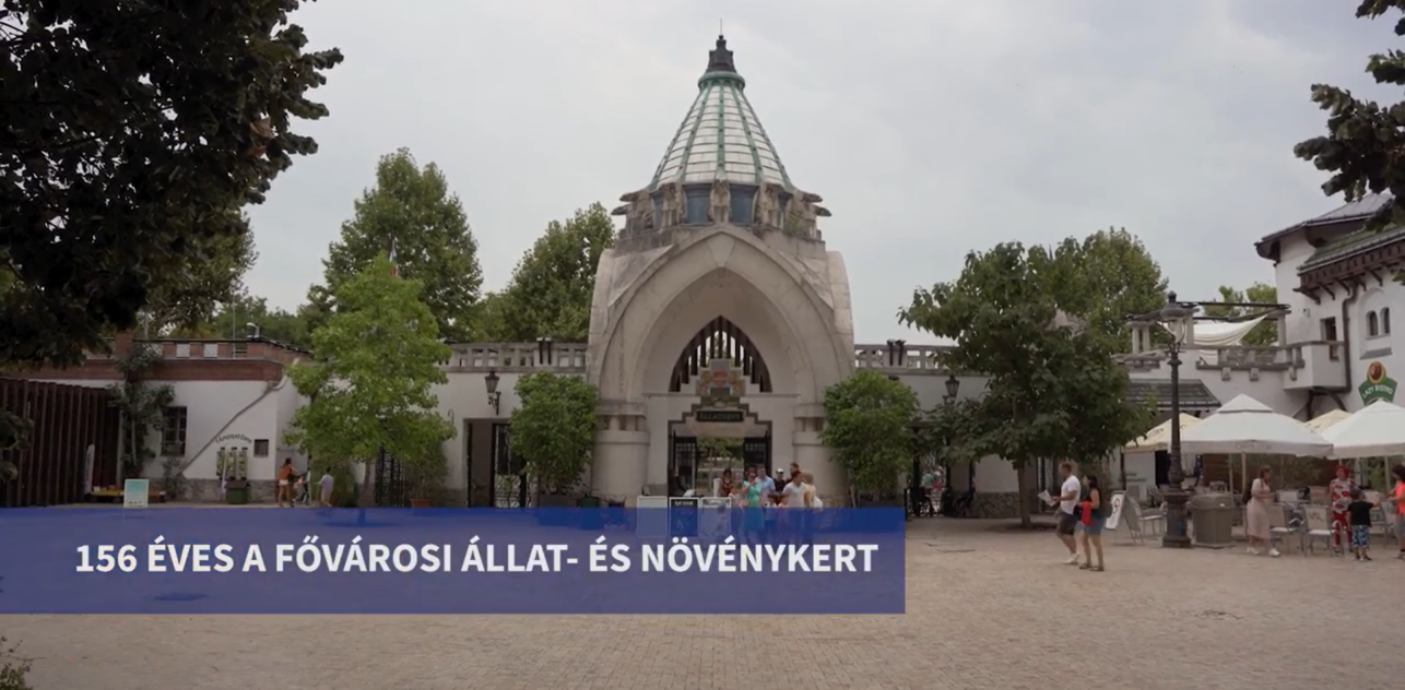 156 éves a Fővárosi Állat- és Növénykert! 2022.08.09.