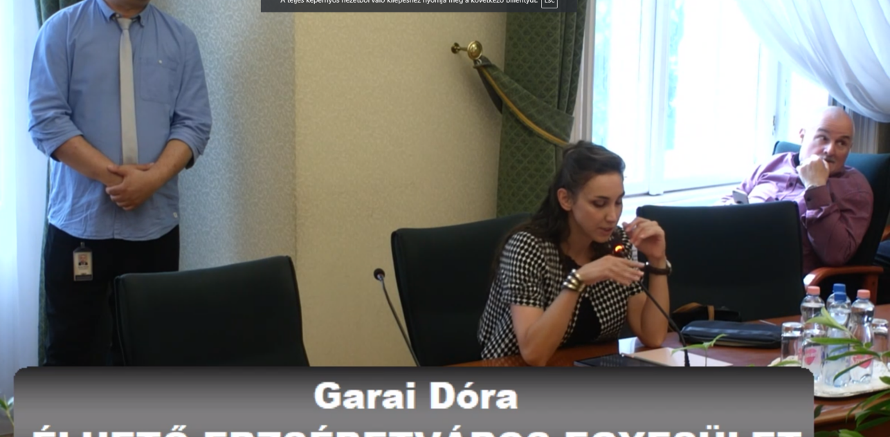 Budapest Főváros VII. kerület Erzsébetváros Önkormányzata Képviselő testületének rendkívüli ülése 2023.07.04.