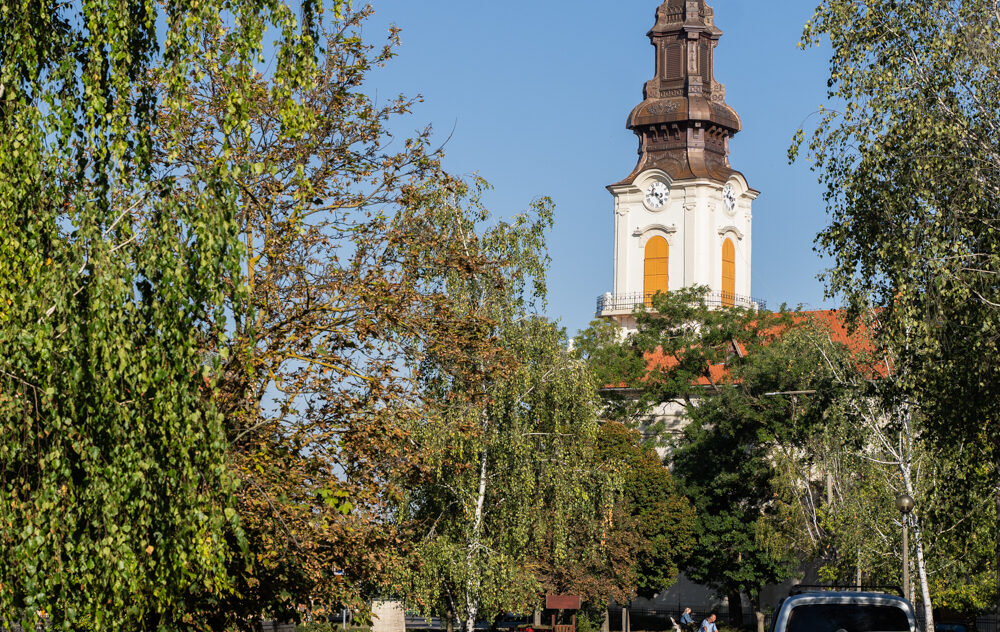 Túrkeve Önkormányzata