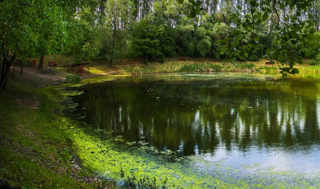 Nagyhegyes Önkormányzata