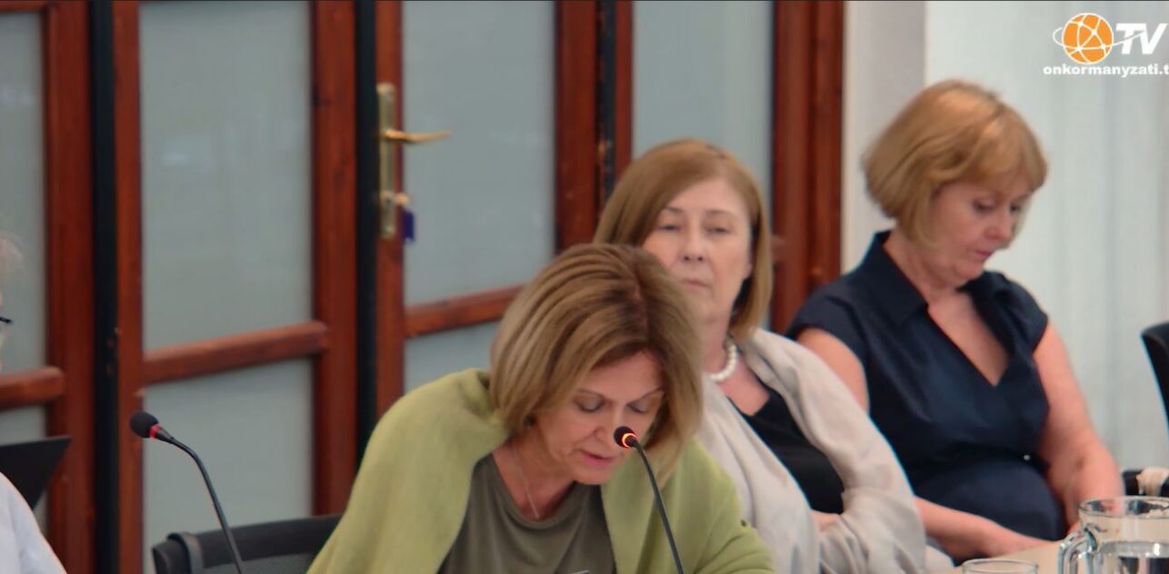 Budapest Főváros XII. kerület, Hegyvidék Önkormányzata Képviselő testületének ülése 2025.06.19.