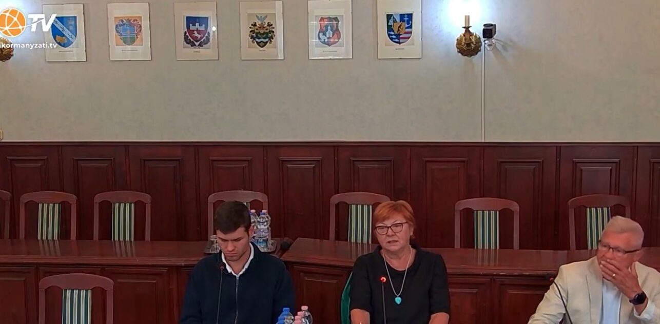 Balatonföldvár Város Önkormányzatának képviselő-testület Pénzügyi és Gazdasági Bizottságának rendkívüli ülése 2025.08.25.