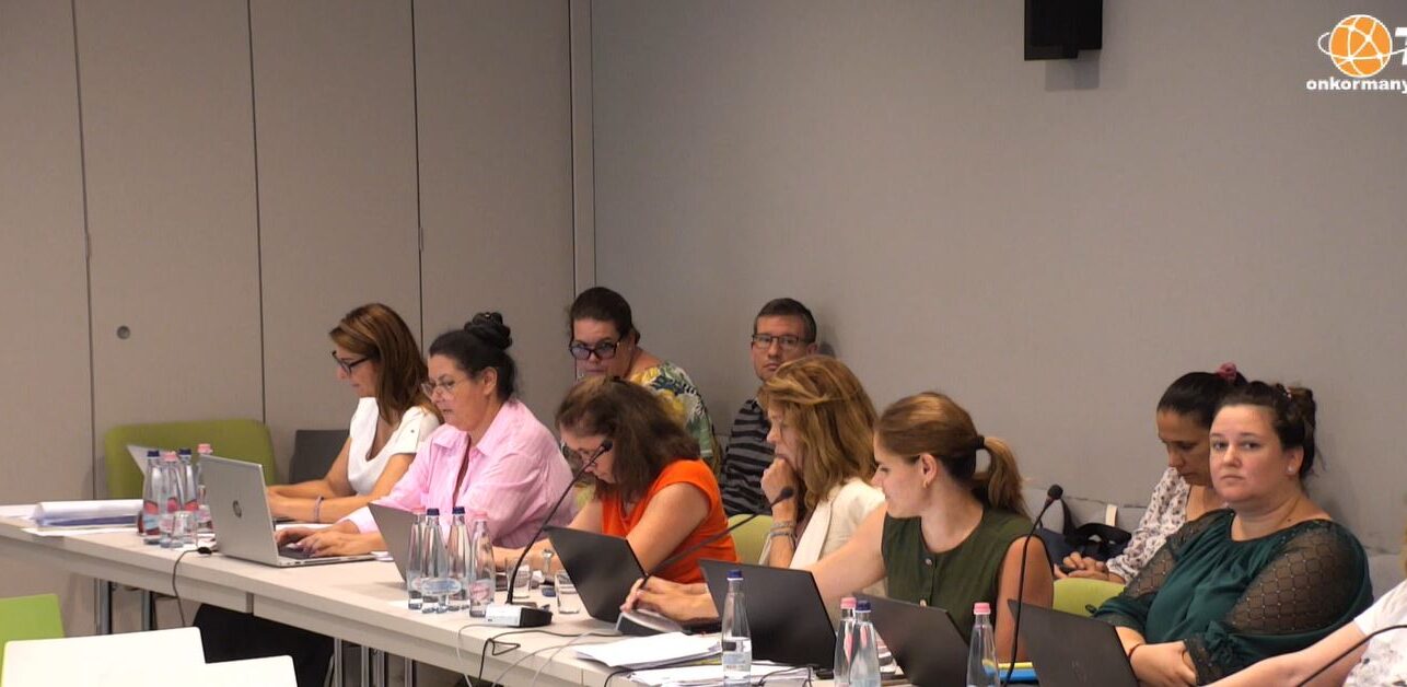 Törökbálint Város Önkormányzat Városfejlesztési és Környezetvédelmi, Pénzügyi, Jogi és Ügyrendi Bizottság rendkívüli együttes ülése 2025.09.11.