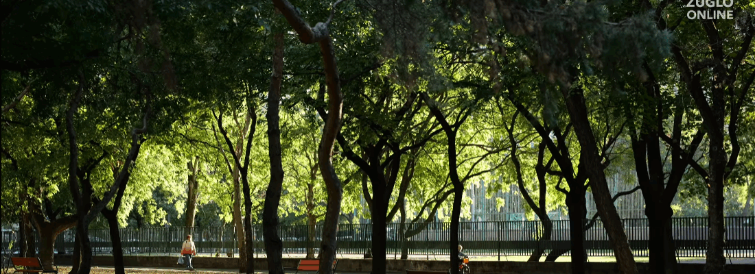 🌳A Csertő park – Zugló alulértékelt csodája