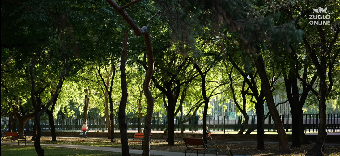 🌳A Csertő park – Zugló alulértékelt csodája