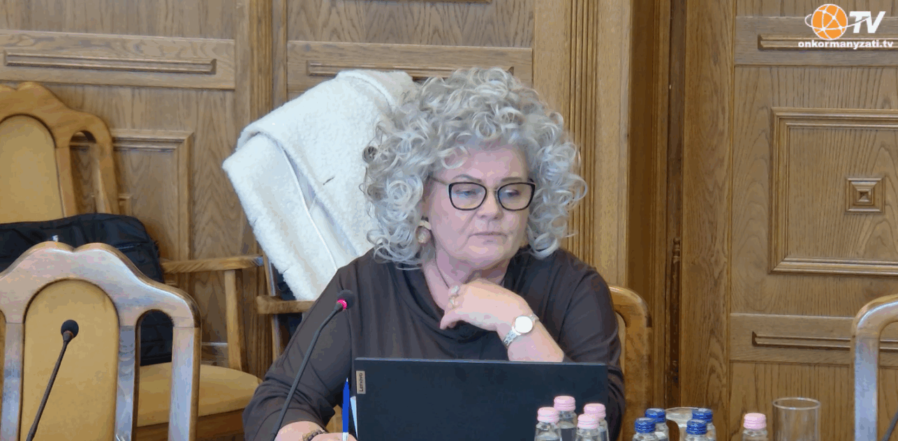 Hajdúböszörmény Város Önkormányzat Képviselő-testületének ülése 2025.10.30.