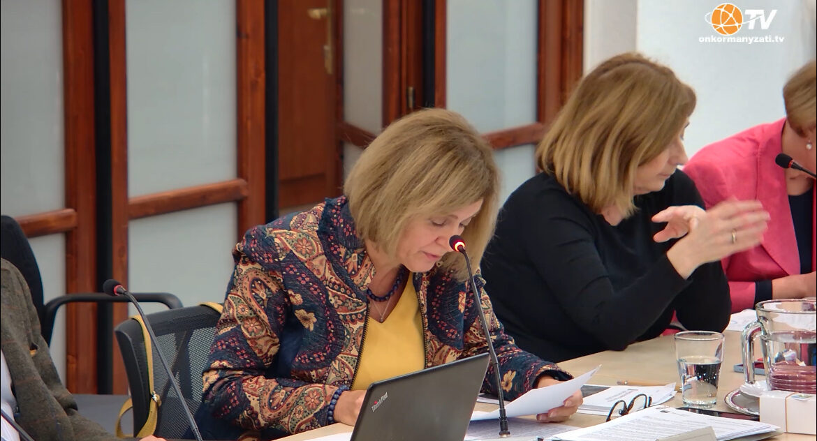 Budapest Főváros XII. kerület, Hegyvidék Önkormányzata Képviselő testületének ülése 2025.11.13.