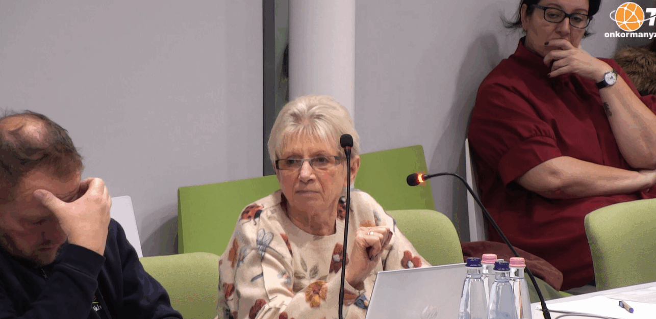 Törökbálint Város Önkormányzat Humánpolitikai Bizottság ülése 2025.11.04.