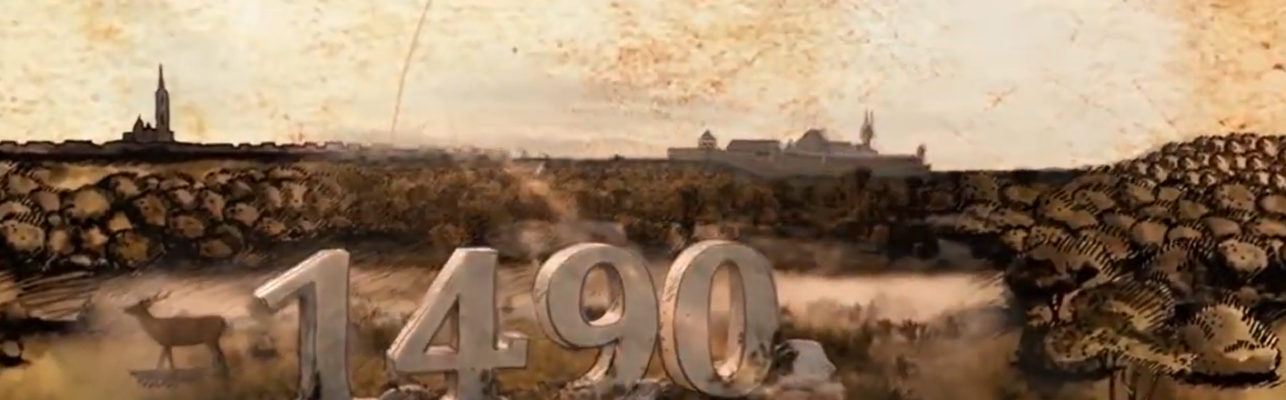 Ünnepeljük Mátyás királyt a Budai Várban – Középkori élménynap minden korosztálynak 🎉👑